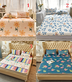 Mua Chiếu điều hòa tencel latex A (Hàng loại 1) - tặng kèm 2 vỏ gối 50x70cm - Ngẫu nhiên - 1m6 x 2m tại Shop Ánh Sao