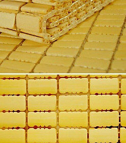 Mua Chiếu trúc 80*190cm; 100*190cm hạt vàng không viền siêu rẻ - 80cm*190cm - Hạt vàng tại Đồ gia dụng Hoà